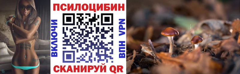 Галлюциногенные грибы MAGIC MUSHROOMS  Сасово 