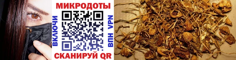 Галлюциногенные грибы прущие грибы Сасово